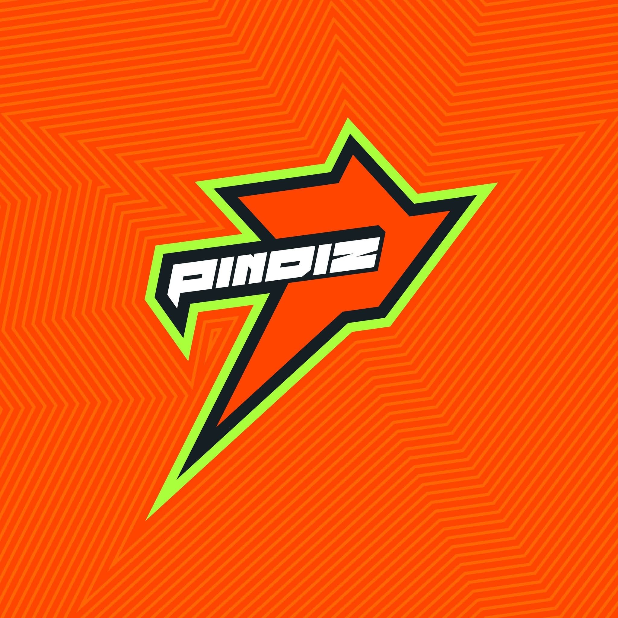 The Pindiz official team logo revealed during a graffiti launch event in Rawalpindi ahead of PSL 11